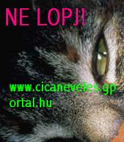 A lops nem hozzd mlt dolog! NE LOPJ! www.cicaneveles.gportal.hu